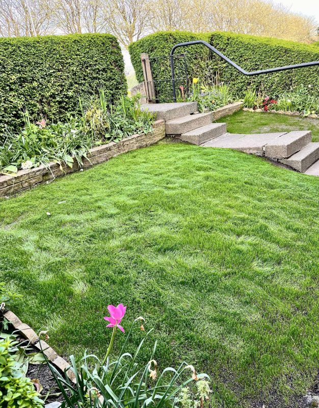 Image #2 from Sarfaraz Khan