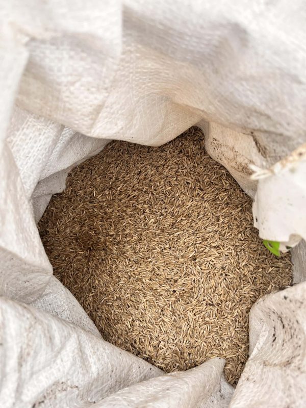 Image #4 from Sarfaraz Khan