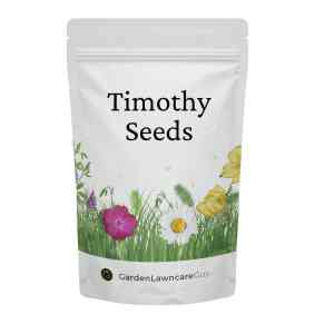 Timothy Grass Seeds