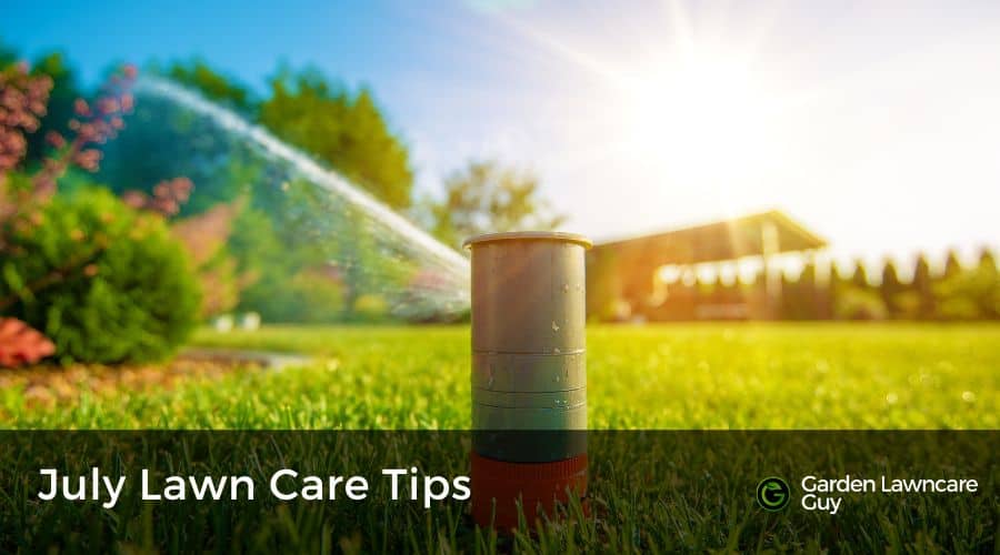 Watering the lawn in July