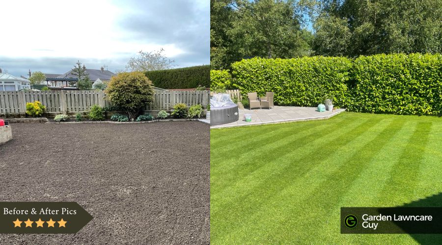 Before and after Grass seed transformation