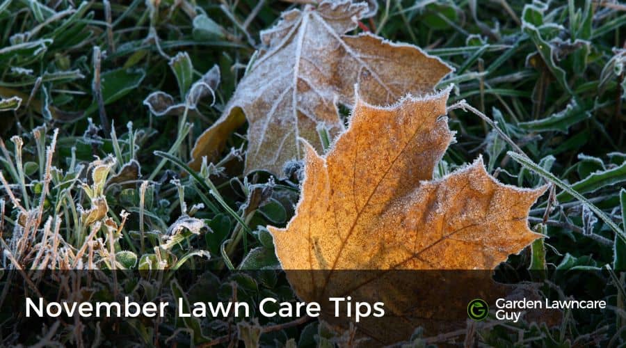 November Lawn Care Tips