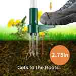 remove weeds at the roots