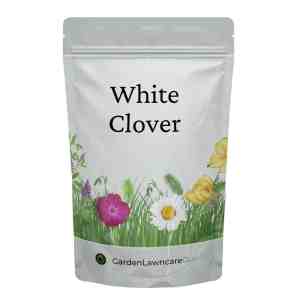 White Clover Seed for Lawns and Gardens