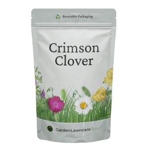 crimson clover seeds