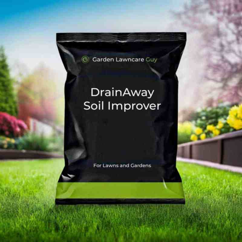 grass and plant drainage