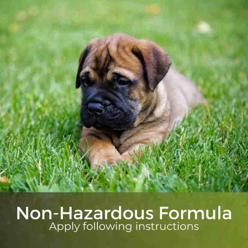 non hazardous lawn feed