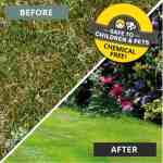 chemical free moss killer