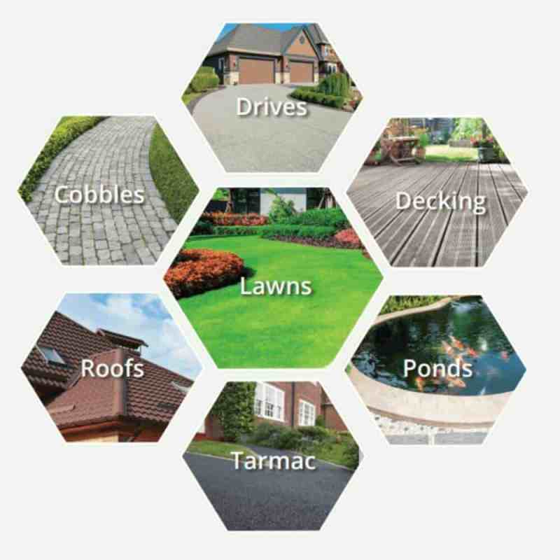 moss killer for grass