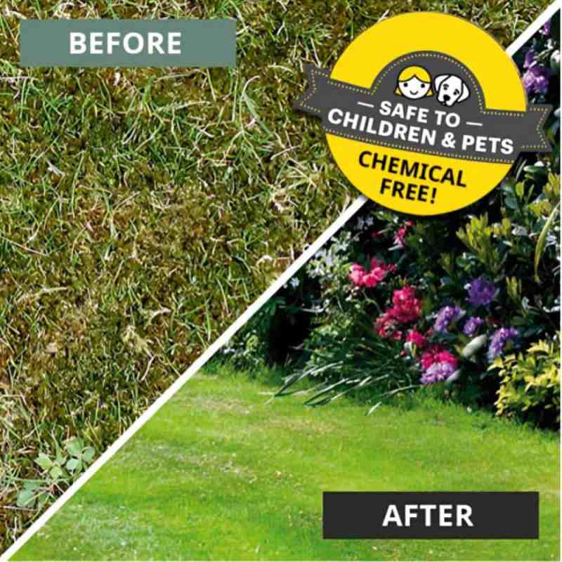 chemical free moss killer