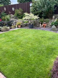 Image #2 from Denise C