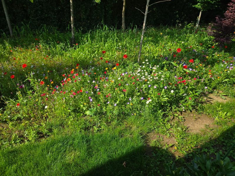 Image #1 from Keith Baker