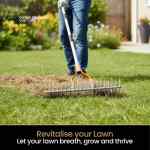scarifying rake removing thatch from a lawn