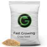 1 fast growing grass seed