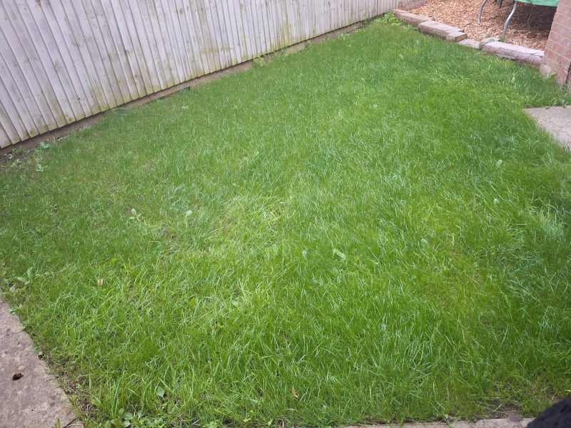 Image #2 from Kareena Read