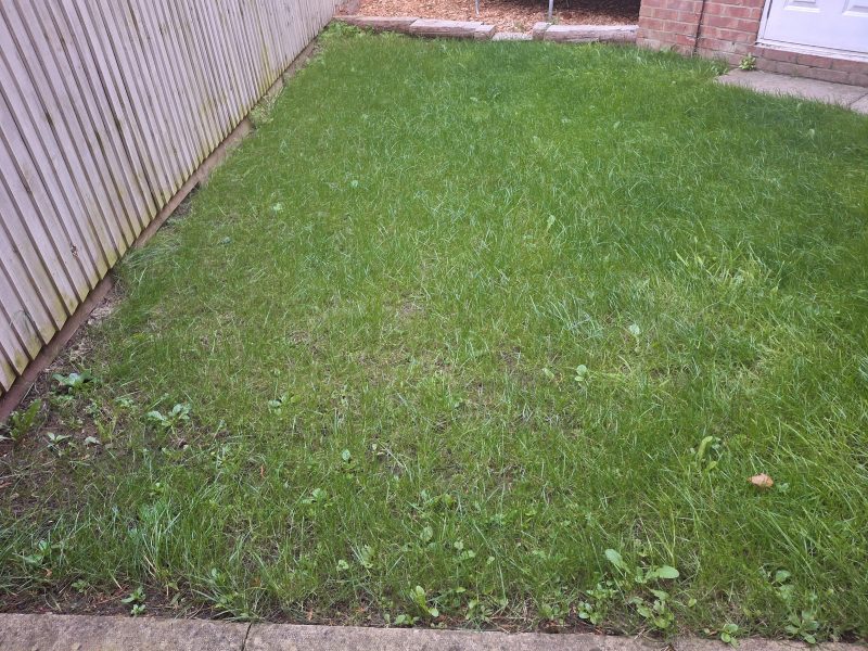 Image #4 from Kareena Read