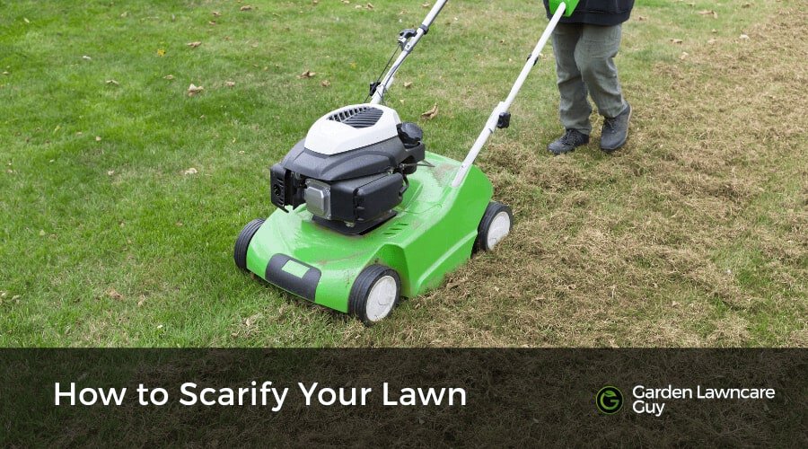 how to scarify your lawn