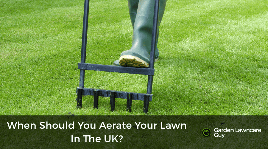 When Should You Aerate Your Lawn In The UK
