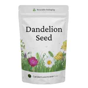 Dandelion Seed (Taraxacum Officinale Forage)