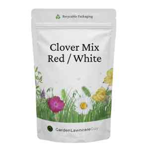 Clover mix red / white.