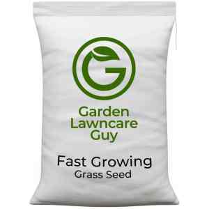 Fast Growing Grass Seed