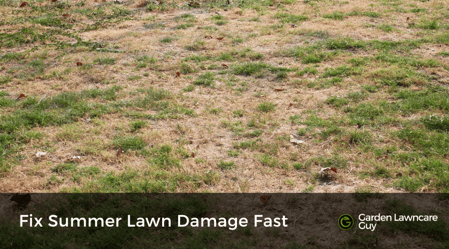 Fix summer lawn damage after heatwave, UK garden