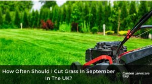 How often should I cut grass in September in the UK?
