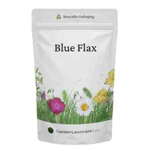 Blue Flax Seeds