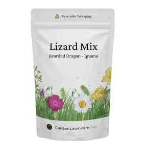 Lizard Forage Seed Mix