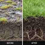 liquid gypsum lawn treatment