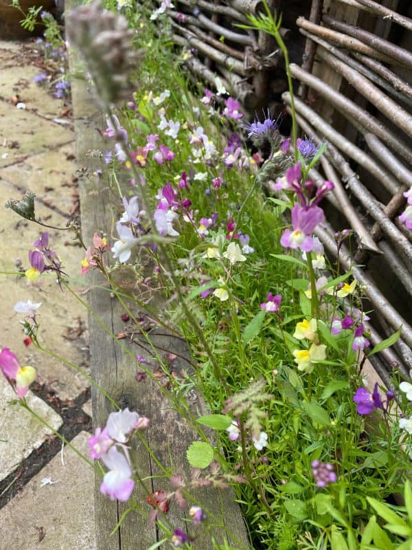 Image #2 from Alex Bedford