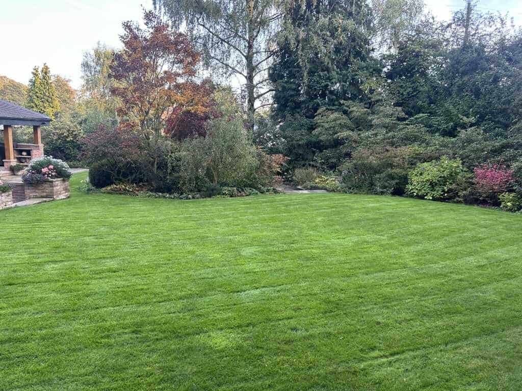 Image #1 from David Landless