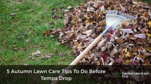 Rake and fallen autumn leaves on grass in garden.