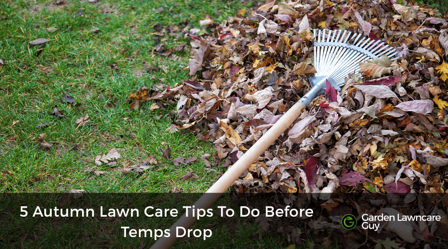 Rake and fallen autumn leaves on grass in garden.