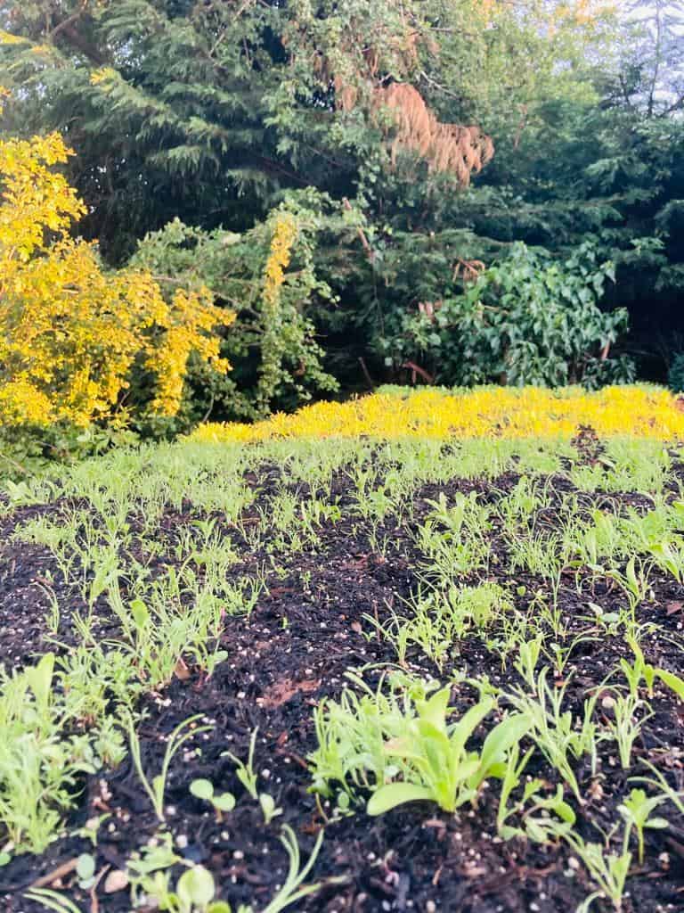 Image #1 from Yolanda Bonilla