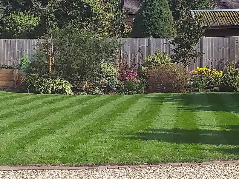 Image #1 from Nigel Brookes