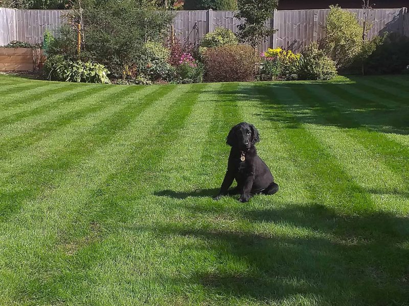 Image #2 from Nigel Brookes