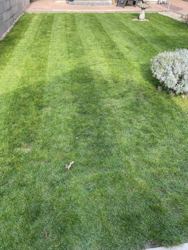 Image #2 from Mark Piper