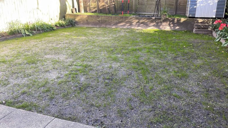 Image #4 from Priit Kimmel