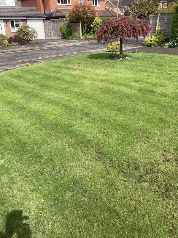 Image #4 from Brian Barton