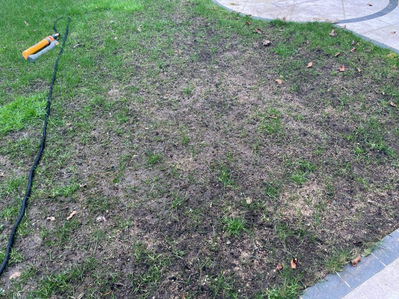 Image #4 from Sachin Bhutada