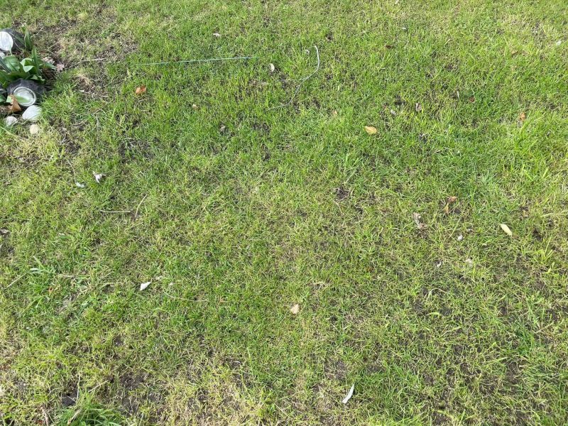 Image #1 from Sachin Bhutada