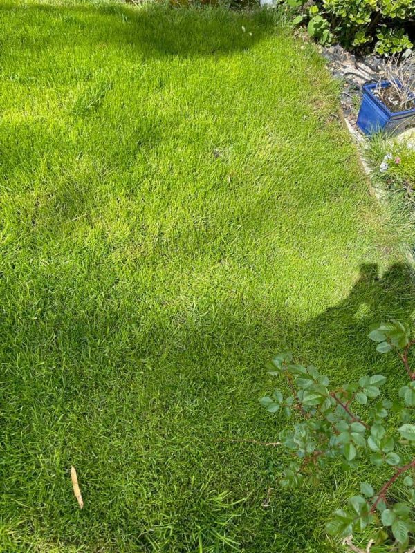 Image #5 from Sachin Bhutada