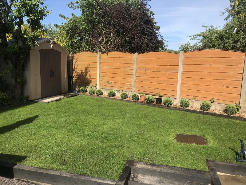 Image #1 from Paul Bowen