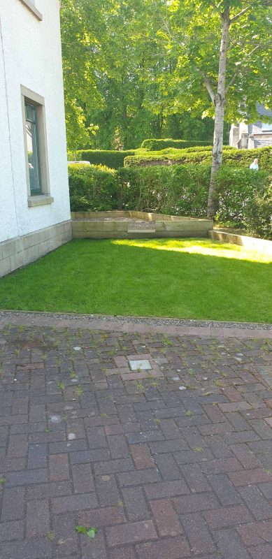 Image #3 from Colin Finlayson