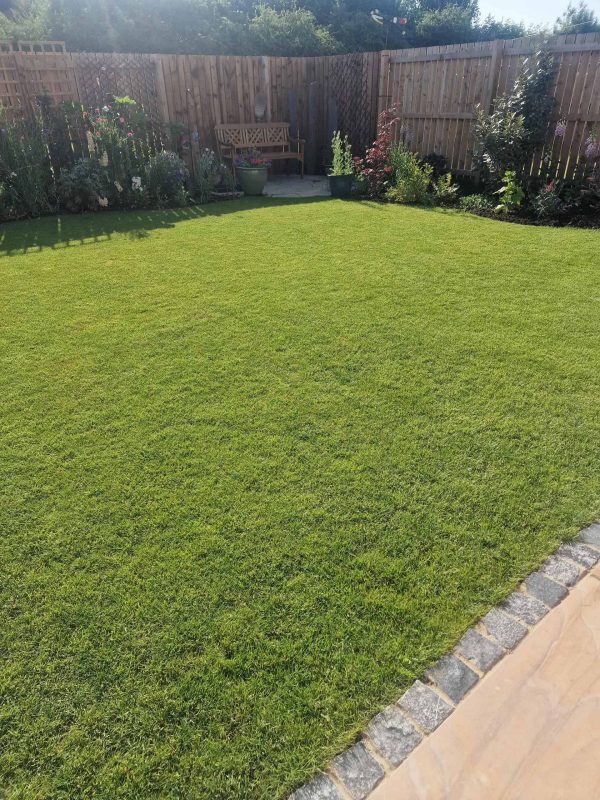 Image #3 from Julie Grayson