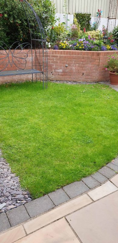 Image #1 from Alia Siddiqui