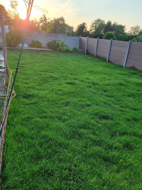 Image #1 from Mark Blackwell