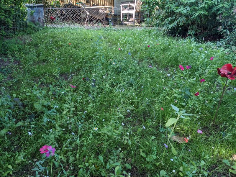 Image #1 from Alice Kelly