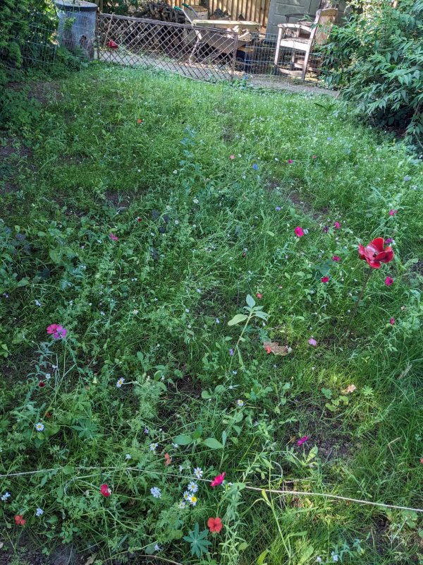 Image #3 from Alice Kelly